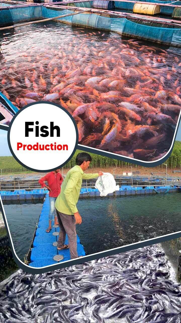 indian fish farming