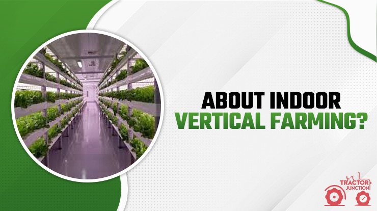 About Indoor Vertical Farming?