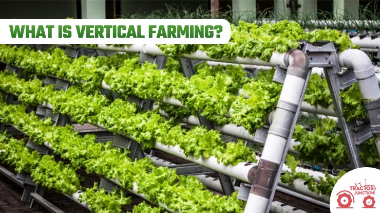 What is Vertical Farming