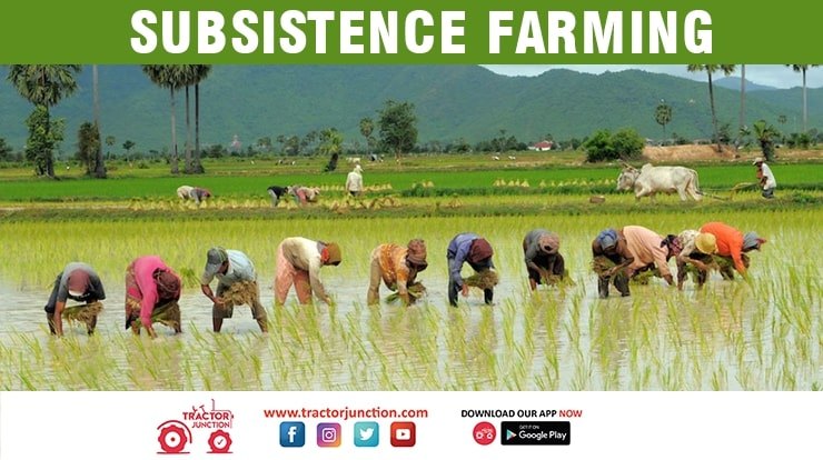 subsistence farming definition