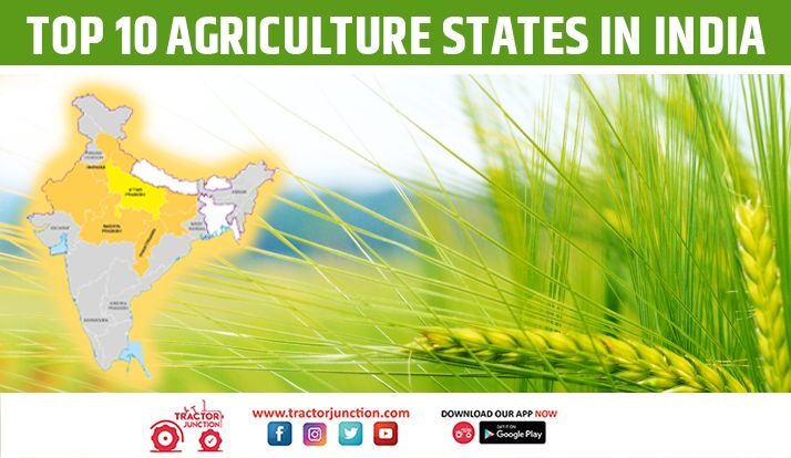 Top Agriculture States In India Largest Crop Producing States