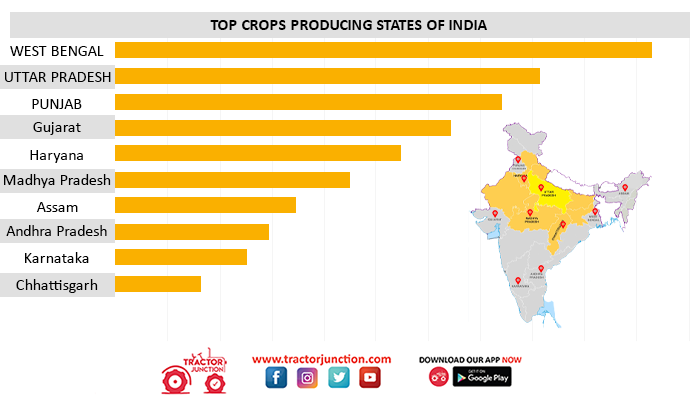 Top 10 Agriculture States In India Largest Crop Producing States 