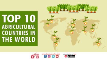 Top 10 Agricultural Producing Countries In The World