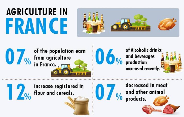 Top 10 Agricultural Producing Countries In The World