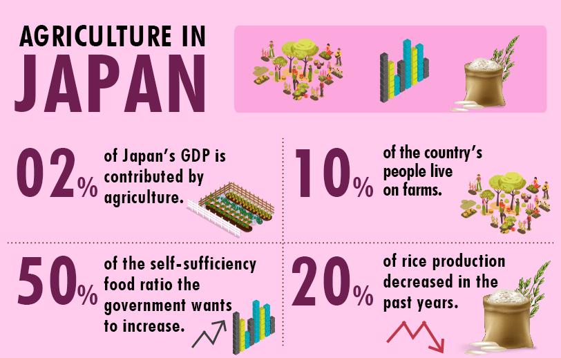 Top 10 Agricultural Producing Countries In The World