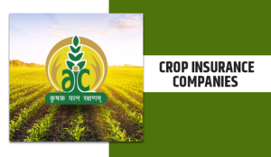 A Complete Information about Crop Insurance in India