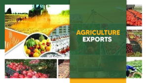 Emerging Trends In Agriculture & Future Of Indian Agriculture