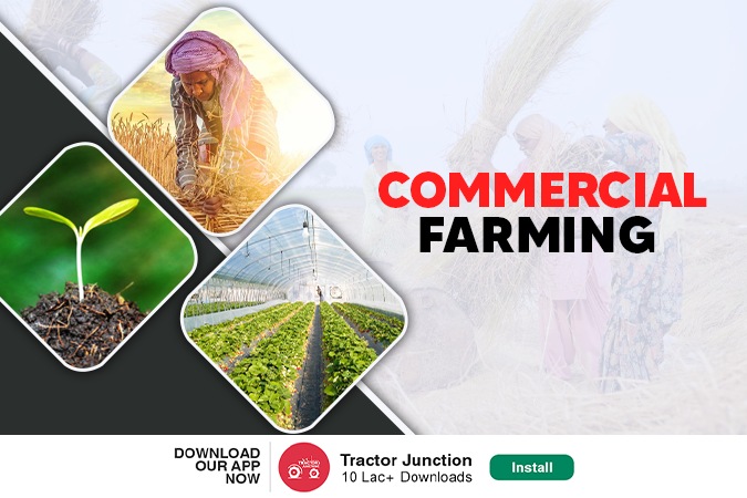 What Is Commercial Farming Its Characteristics Advantage