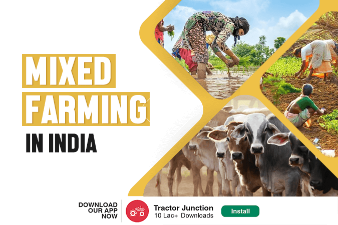 Mixed Farming In India Types Characteristics Benefits