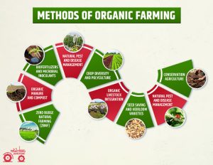 What is Organic Farming in India - Types, Methods & Advantages