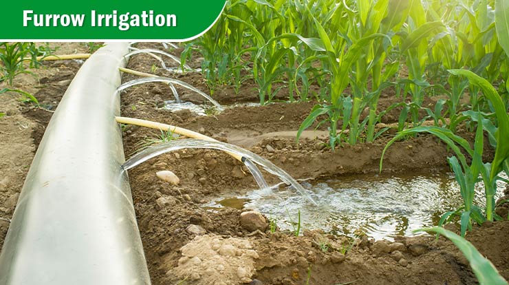 Crop Production and Management, Methods of Irrigation - 2