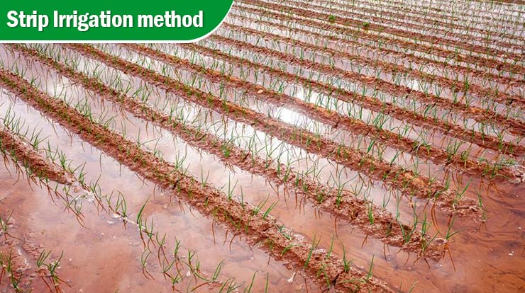What is Irrigation System? Different Types and Methods of Irrigation