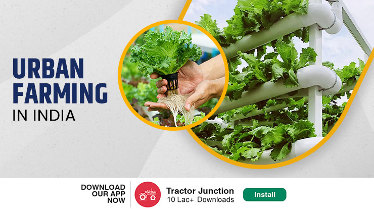 What Is Urban Farming In India Types Process And Benefits 2022 