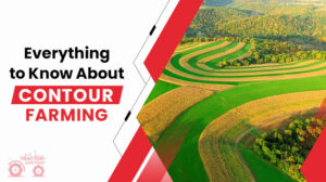 What Is Contour Farming And Its Benefits How To Get Started