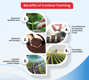 What Is Contour Farming And Its Benefits How To Get Started