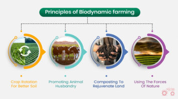 Biodynamic Farming: Importance, Sustainability, FAQs