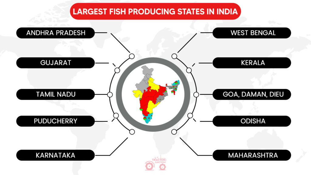 top-10-fish-farming-states-in-india-largest-fish-producing-states