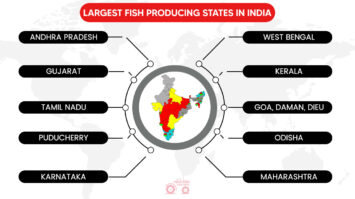 Top 10 Fish Farming States In India - Largest Fish Producing States!