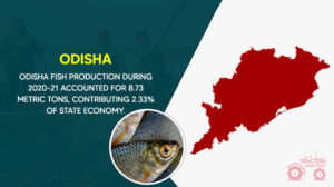 Top 10 Fish Farming States In India - Largest Fish Producing States!