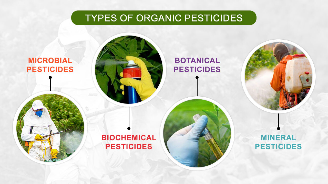 The Difference Between Insecticide and Pesticide