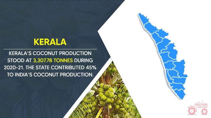 Top 10 Coconut Producing States in India - Largest Coconut Producer!