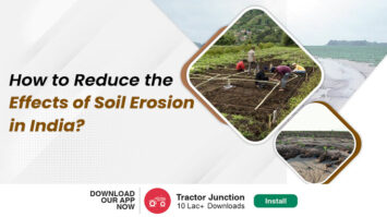 What is Soil Erosion? Ways to Reduce the Effects of Soil Erosion