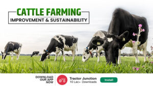 Cattle Farming: Environmental sustainability & balanced production