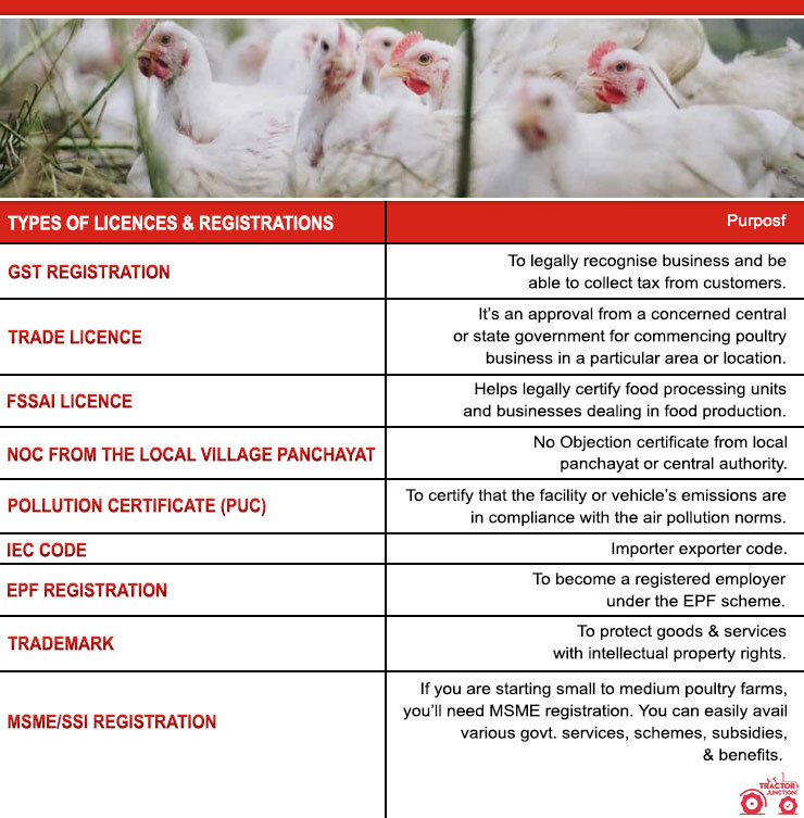 chicken egg farming business plan in india