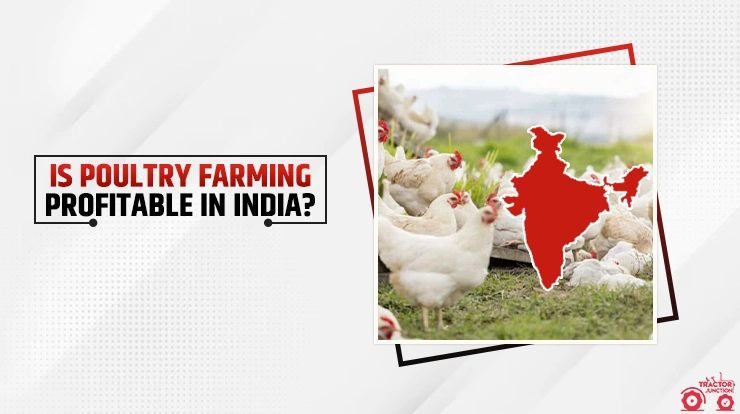 Is Poultry farming profitable in India?