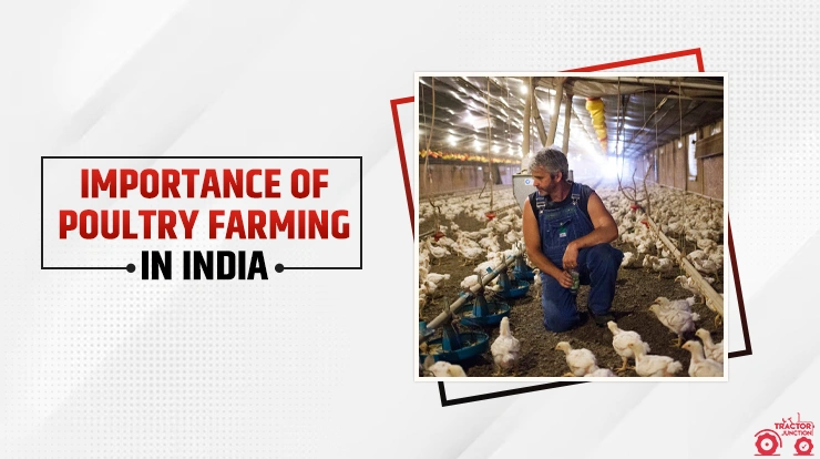 Importance of Poultry Farming in India