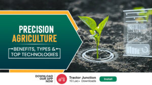 What Is Precision Farming? Technologies & Applications