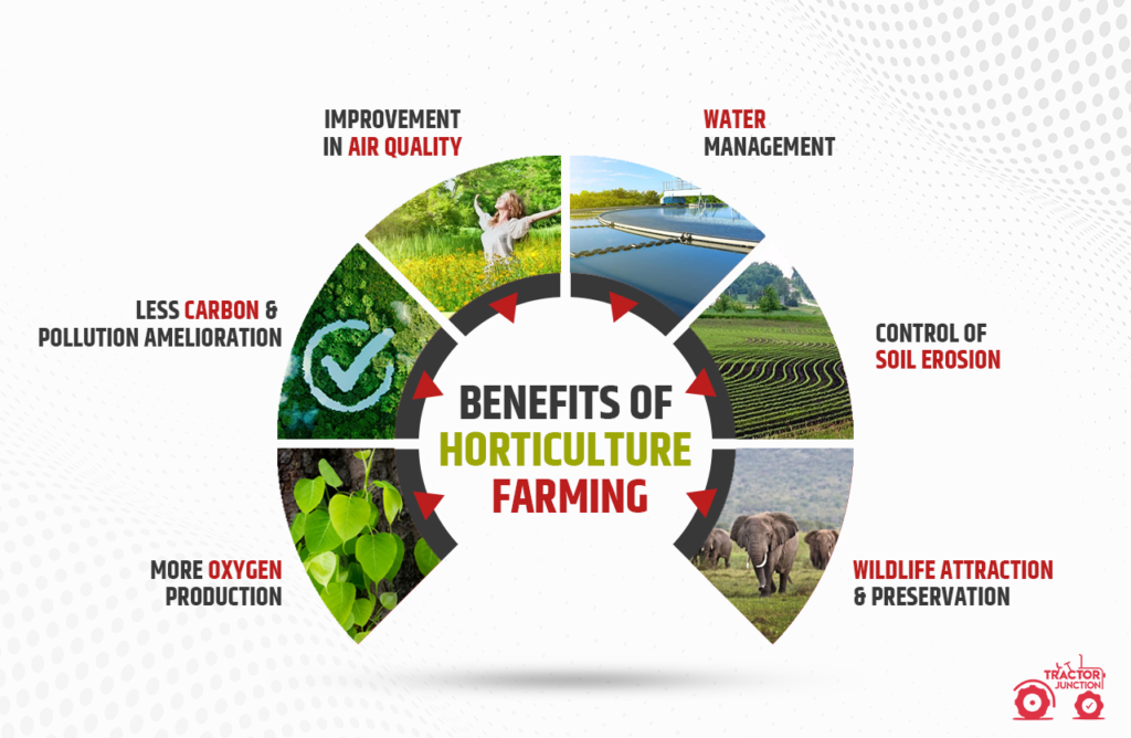 Horticulture Farming in India Benefits, Coast, Types & Scope