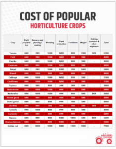 Horticulture Farming In India - Benefits, Coast, Types & Scope