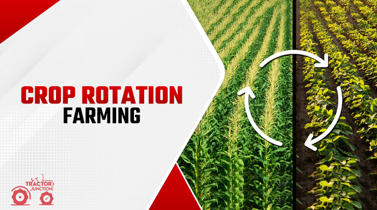 Crop Rotation farming