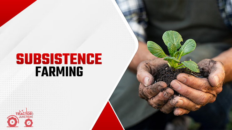 Subsistence Farming