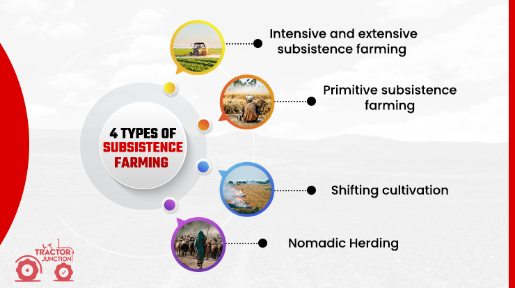 4 Types Of Subsistence Farming