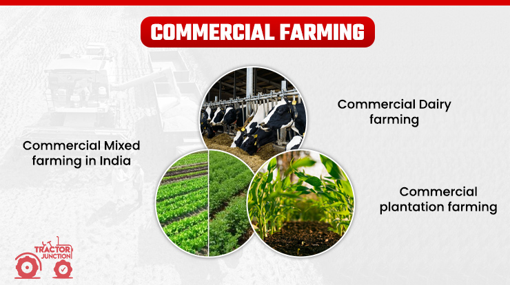 Commercial Farming