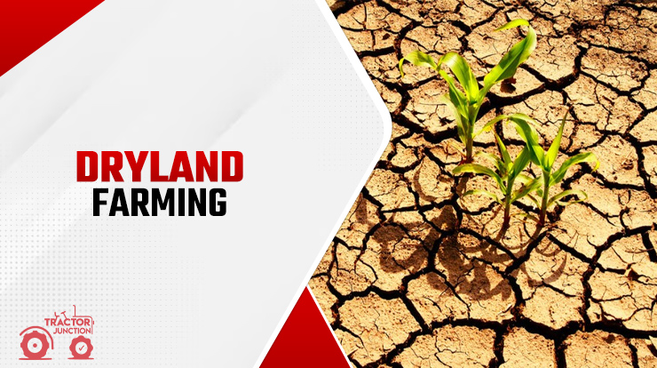 Dry Land Farming