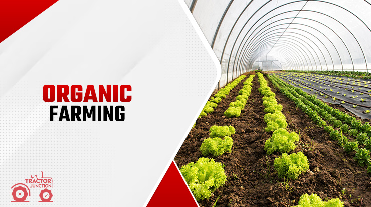 Organic Farming