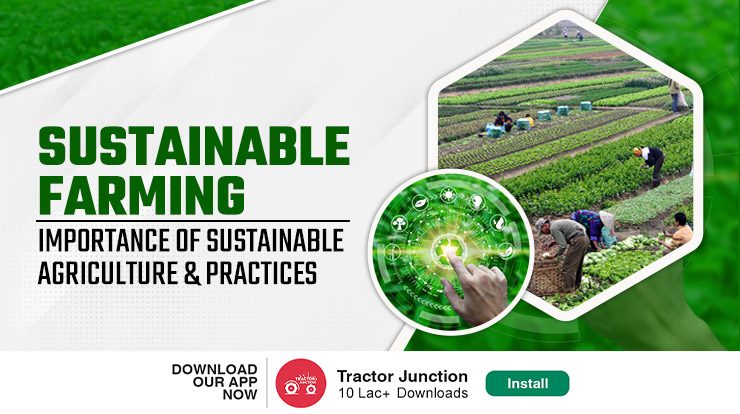 Sustainable Farming: Types, Benefits, Practices and More