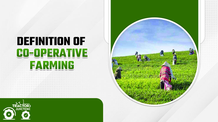 What is Cooperative Farming?