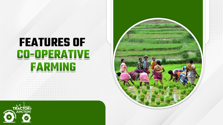 Features of Co-operative Farming