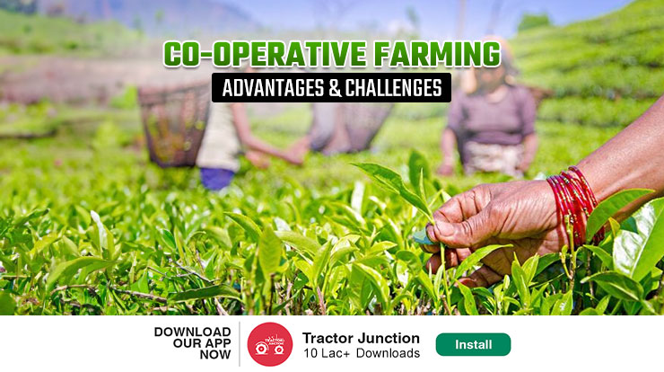 What is Cooperative Farming?