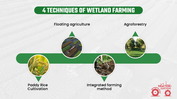 4 Techniques of Wetland Farming