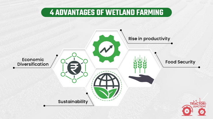 Advantages of Wetland Farming