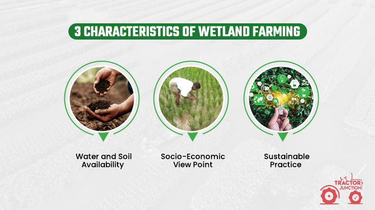 Characteristics Of Wetland Farming