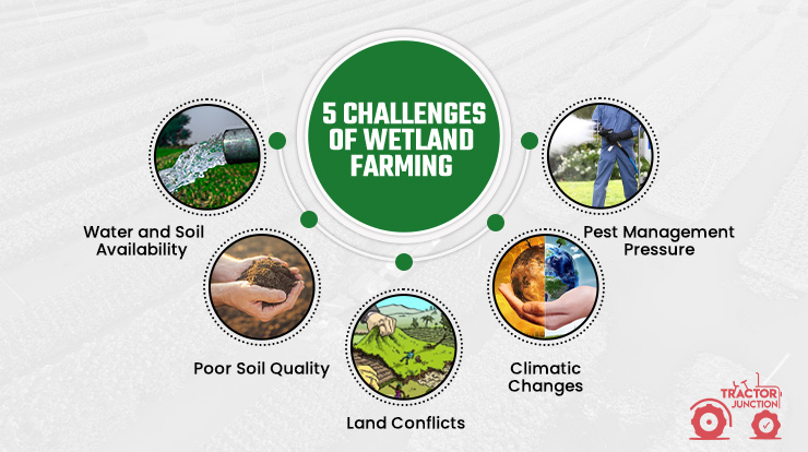 5 Challenges of Wetland Farming