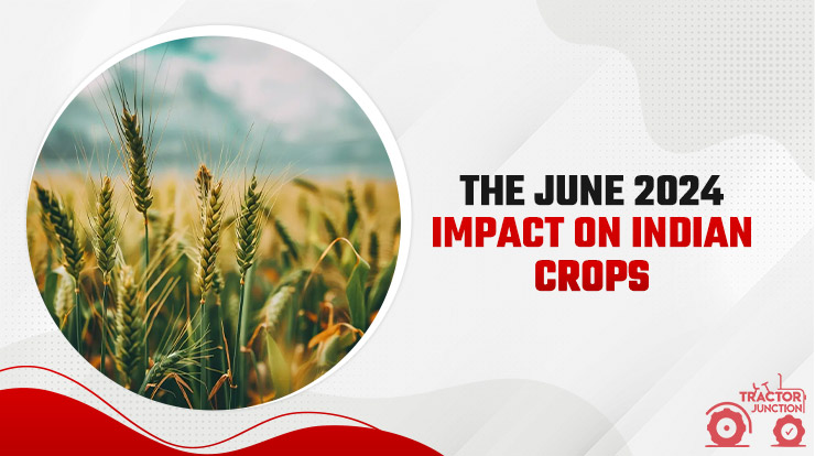 Impact of Monsoon on Indian Agriculture As Of June 2024