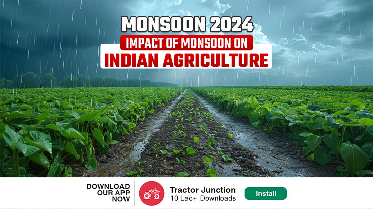 Monsoon 2024 Outlook: 18% Rainfall Deficit In June, But Above-Normal Expected In August