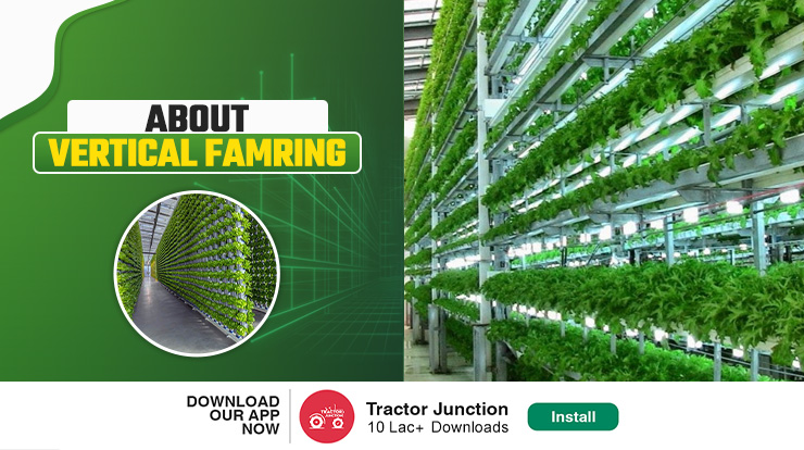 Vertical Agriculture Farming